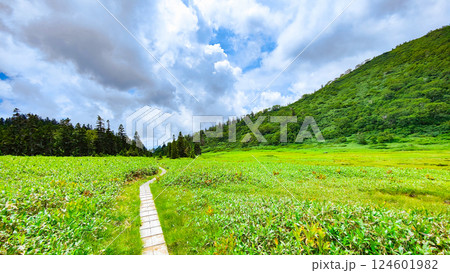 夏の火打山・妙高山登山（黒沢池～富士見平分岐） 124601982