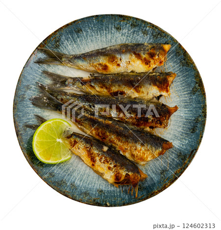 Fried sardine fish served on plate Fried sardine fish served on plate 124602313