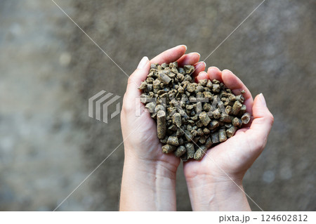 Hands holding bunch of reapeseed cake 124602812