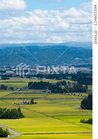 岩手県花巻市の円万寺観音山から水田地帯から市街地の風景を望む 124603394
