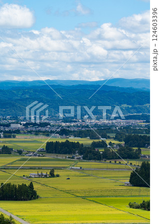 岩手県花巻市の円万寺観音山から水田地帯から市街地の風景を望む 124603396