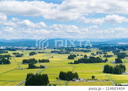 岩手県花巻市の円万寺観音山から水田地帯から市街地の風景を望む 岩手県花巻市の円万寺観音山から水田地帯から市街地の風景を望む 124603404
