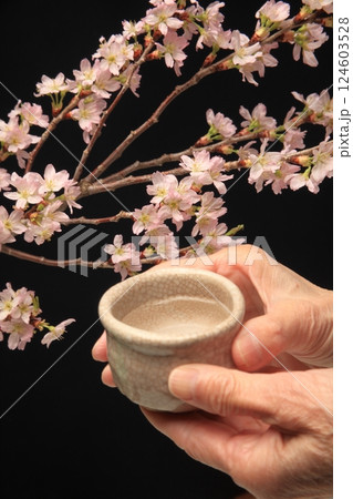 花見酒 花見酒 124603528