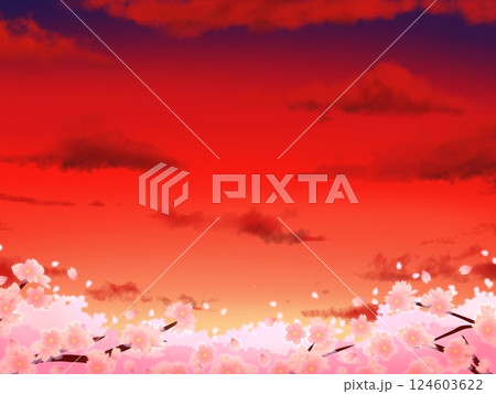 夕方の桜の背景 夕方の桜の背景 124603622