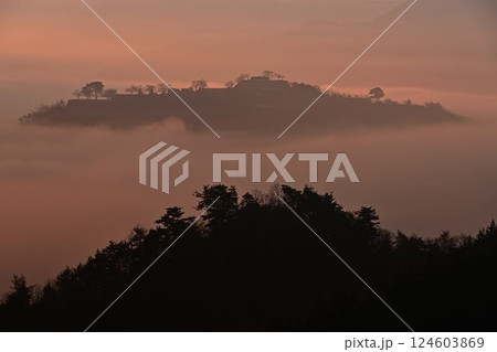 竹田城址と雲海 竹田城址と雲海 124603869