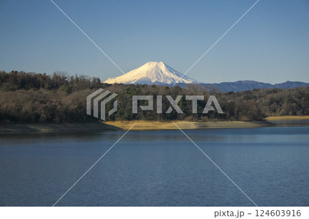 青空の冬の狭山湖堰堤から見る湖面と富士山 124603916