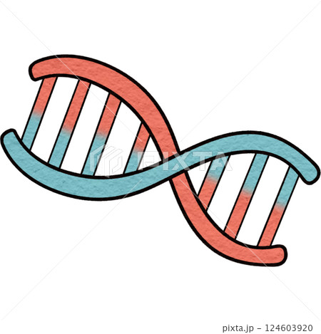 The illustration of a gene 124603920