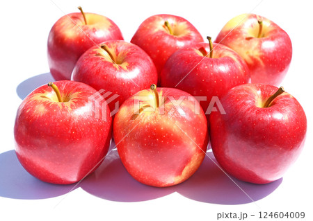 ニュージーランド産りんご Breeze (ブリーズ) ニュージーランド産りんご Breeze (ブリーズ) 124604009