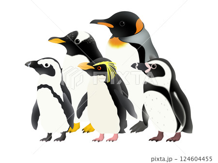 かわいい5羽のペンギンのイラスト 124604455
