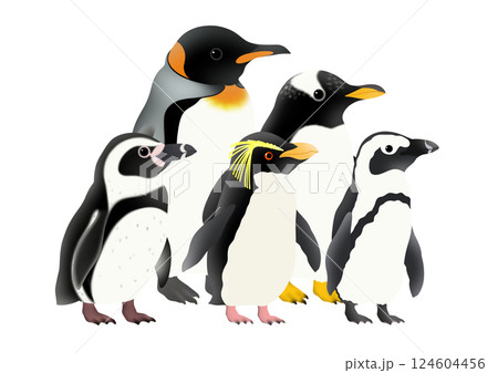 かわいい5羽のペンギンのイラスト 124604456
