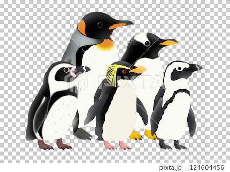 かわいい5羽のペンギンのイラスト 124604456