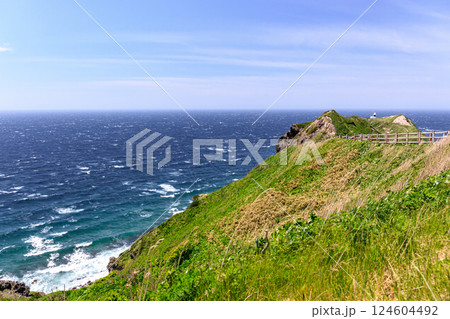 北海道積丹町、神威岬灯台に続く遊歩道【5月】 124604492
