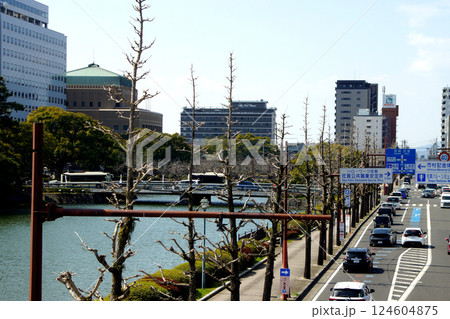 佐賀市 佐賀城公園お濠周りの散策コースの町並み 佐賀市 佐賀城公園お濠周りの散策コースの町並み 124604875