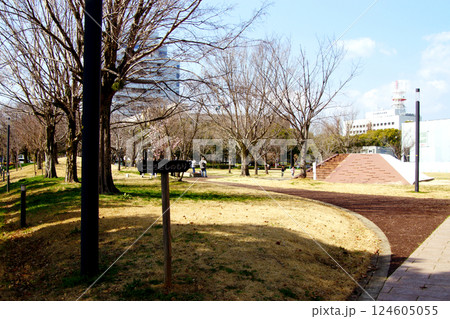 佐賀市　春の散策コースの町並み「こころざしの森」 124605055