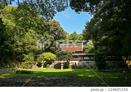 滋賀・大津市 園城寺新羅善神堂 滋賀・大津市 園城寺新羅善神堂 124605150