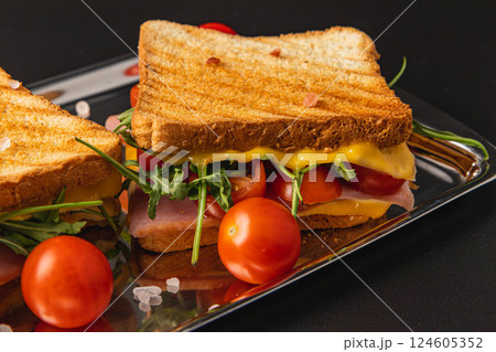 Delicious grilled sandwich with ham, cheese, spinach, and tomatoes for lunch Delicious grilled sandwich with ham, cheese, spinach, and tomatoes for lunch 124605352