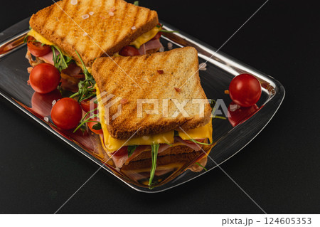 Enjoying a delicious grilled sandwich with ham, cheese, and fresh greens Enjoying a delicious grilled sandwich with ham, cheese, and fresh greens 124605353