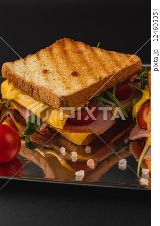 Grilled cheese sandwich with ham, spinach, arugula, and tomatoes on toast Grilled cheese sandwich with ham, spinach, arugula, and tomatoes on toast 124605354
