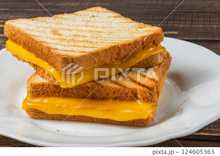 Delicious grilled cheese sandwich served on a white plate for lunch Delicious grilled cheese sandwich served on a white plate for lunch 124605363
