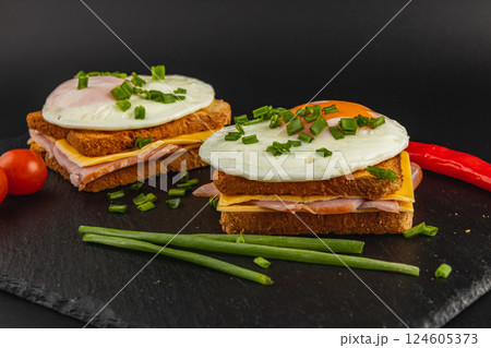 Delicious breakfast sandwiches with eggs, cheese, and ham on slate 124605373
