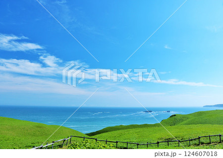 北海道　青空と新緑の高原と海 124607018