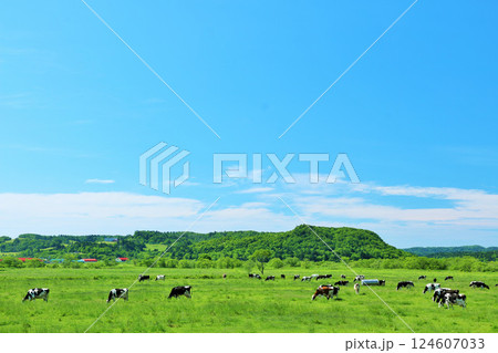 北海道　青空の牧場風景 124607033