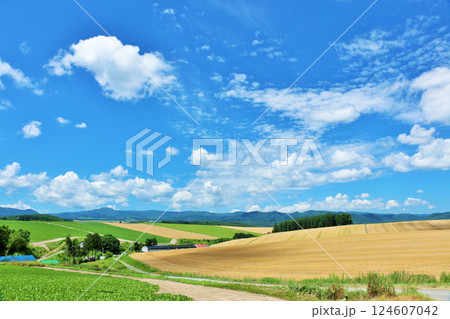 北海道 夏の青空と美瑛の風景 北海道 夏の青空と美瑛の風景 124607042