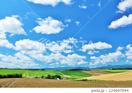 北海道 夏の青空と美瑛の風景 北海道 夏の青空と美瑛の風景 124607044