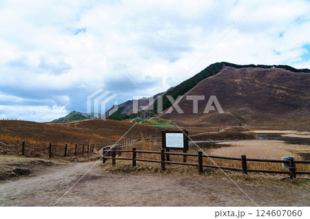 山焼き後新緑に覆われる前の曽爾高原　高原の入り口から日本ボソを望む➃ 124607060