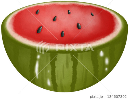 Fresh Watermelon Slices  Clipart Cute Juicy Fruit Illustrations for Summer 124607292
