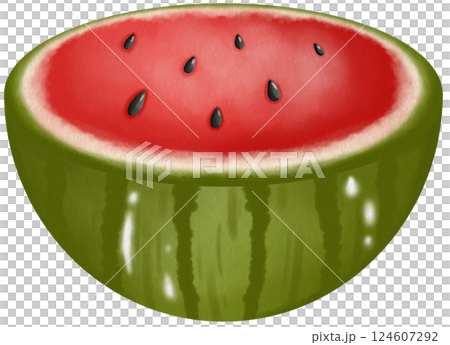 Fresh Watermelon Slices  Clipart Cute Juicy Fruit Illustrations for Summer 124607292