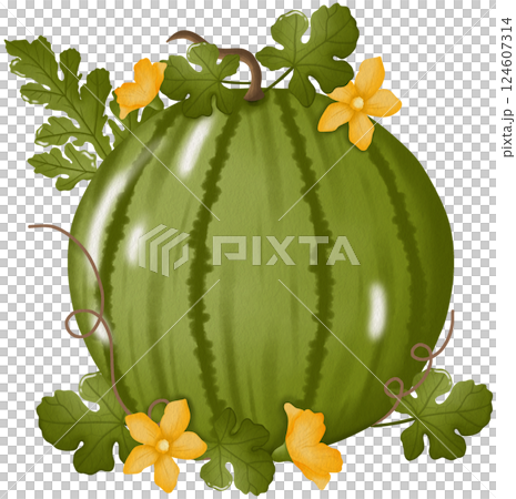 Watermelon Plant Clipart Green Fruit Leaves Flowers Illustration Watermelon Plant Clipart Green Fruit Leaves Flowers Illustration 124607314