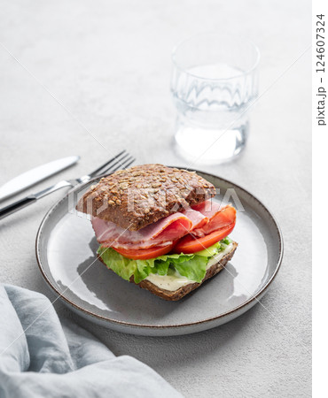 Toast sandwich made of grain bread with prosciutto, cheese, tomatoes, lettuce and sauce on a plate Toast sandwich made of grain bread with prosciutto, cheese, tomatoes, lettuce and sauce on a plate 124607324