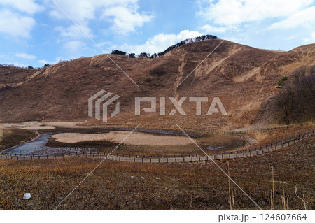 山焼き後新緑に覆われる前の曽爾高原　亀山峠とお亀池②　 124607664