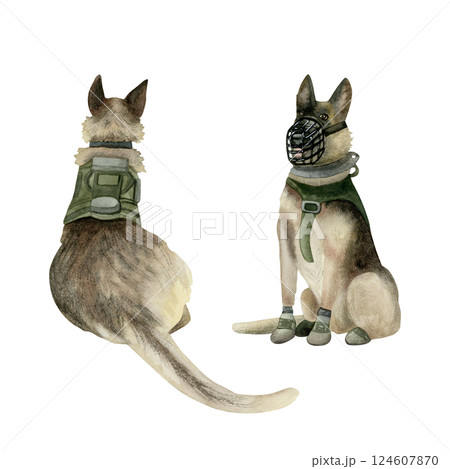 Military dogs of Israel canine special forces Oketz watercolor illustration set. K9 sitting German shepherds in muzzle and vest isolated clipart. Military guard animals for Veteran day designs Military dogs of Israel canine special forces Oketz watercolor illustration set. K9 sitting German shepherds in muzzle and vest isolated clipart. Military guard animals for Veteran day designs 124607870