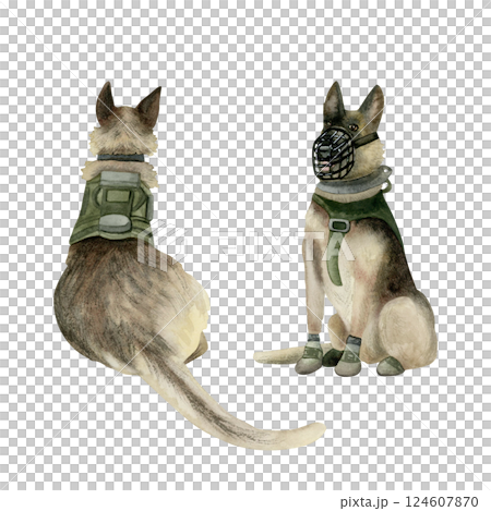 Military dogs of Israel canine special forces Oketz watercolor illustration set. K9 sitting German shepherds in muzzle and vest isolated clipart. Military guard animals for Veteran day designs Military dogs of Israel canine special forces Oketz watercolor illustration set. K9 sitting German shepherds in muzzle and vest isolated clipart. Military guard animals for Veteran day designs 124607870