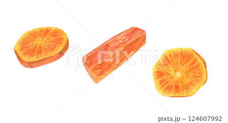 Fresh orange carrot sticks and tender boiled slices watercolor illustration set isolated background. Crisp raw stick and soft cooked round clip art for farm-to-table branding, healthy eating 124607992