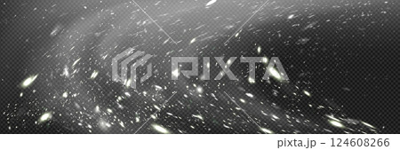 Snowfall sparkle and snowstorm flake Snowfall sparkle and snowstorm flake 124608266