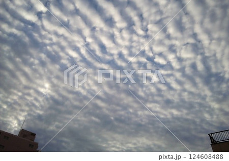 雲の多い空 雲の多い空 124608488