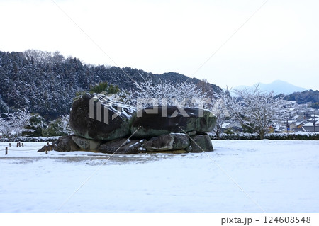 石舞台古墳　雪景色 124608548