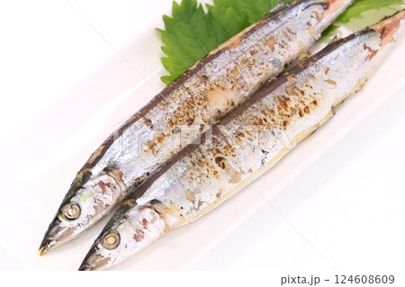サンマの塩焼き　焼き魚　明るい背景 124608609