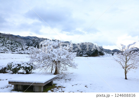 特別史跡 山田寺跡 雪景色 特別史跡 山田寺跡 雪景色 124608816