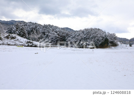 特別史跡　山田寺跡　雪景色 124608818