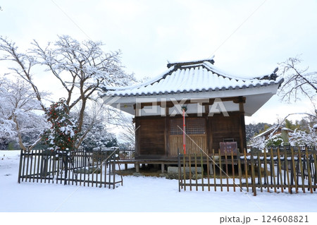 特別史跡 山田寺跡 雪景色 特別史跡 山田寺跡 雪景色 124608821
