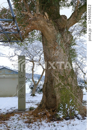 特別史跡　山田寺跡　雪景色 124608822