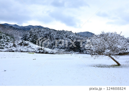 特別史跡　山田寺跡　雪景色 124608824