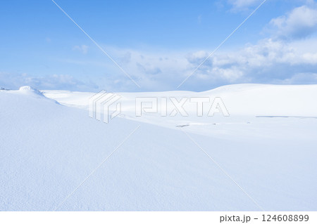 冬の鳥取砂丘の雪景色 鳥取県 鳥取砂丘 124608899