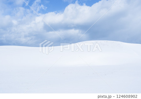 冬の鳥取砂丘の雪景色 鳥取県 鳥取砂丘 124608902