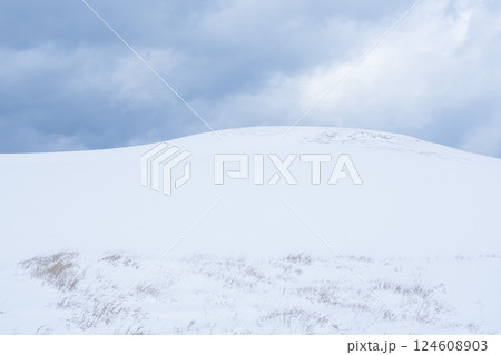 冬の鳥取砂丘の雪景色 鳥取県 鳥取砂丘 124608903