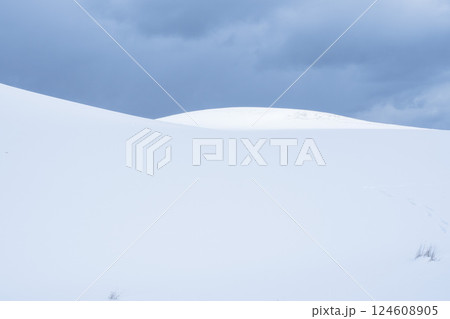 冬の鳥取砂丘の雪景色 鳥取県 鳥取砂丘 124608905